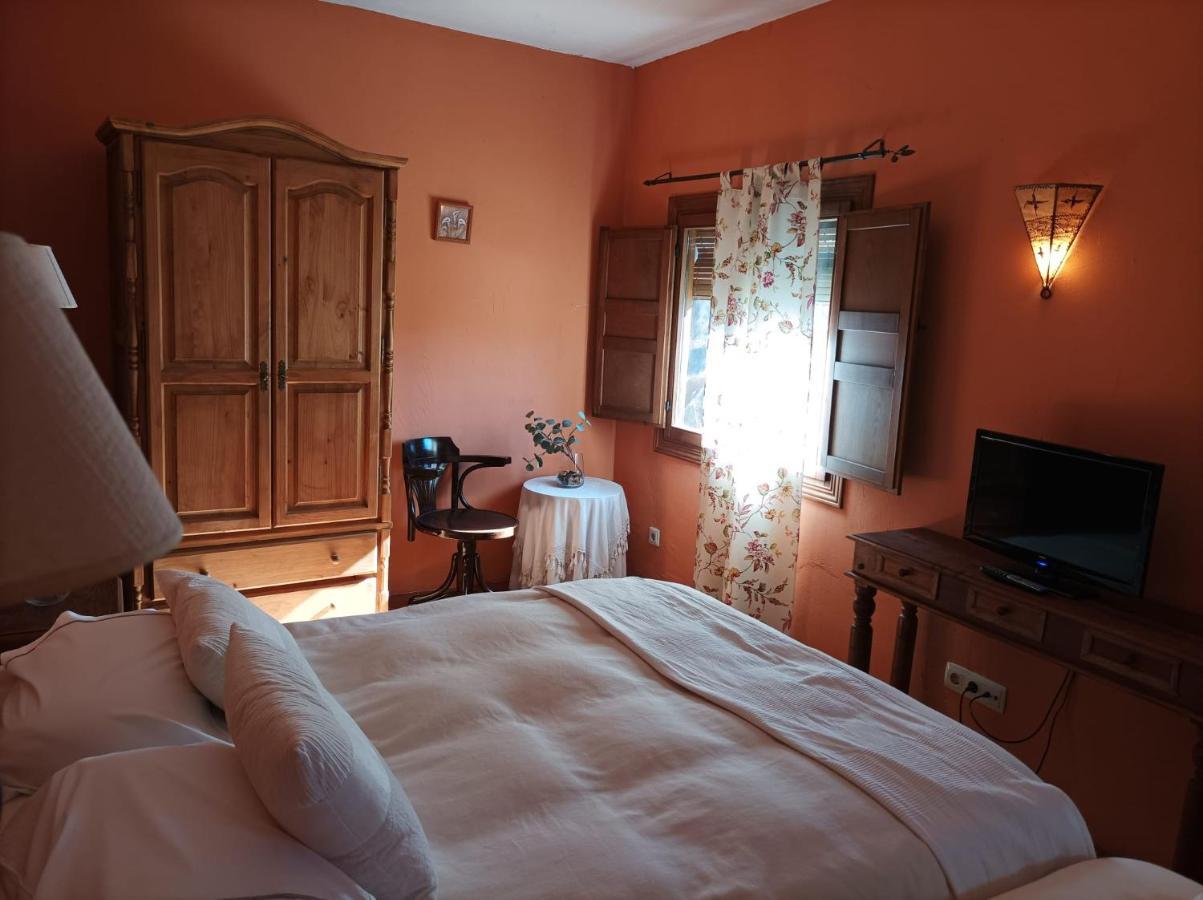 La Casa De Los Gatos Condemios de Abajo ภายนอก รูปภาพ