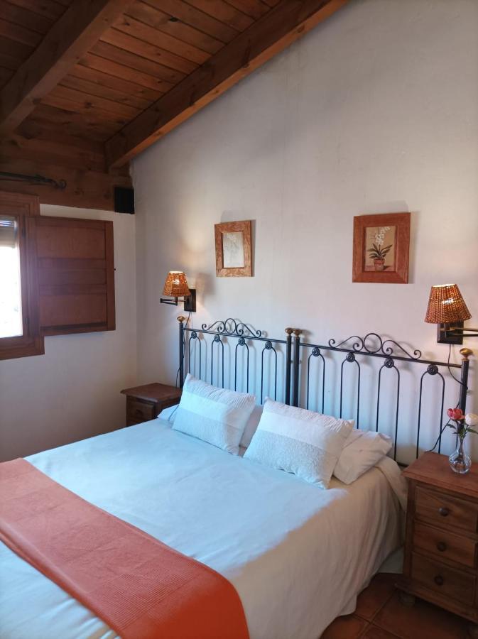 La Casa De Los Gatos Condemios de Abajo ภายนอก รูปภาพ