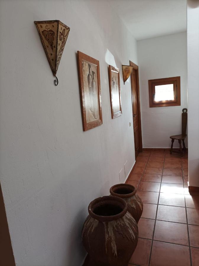 La Casa De Los Gatos Condemios de Abajo ภายนอก รูปภาพ