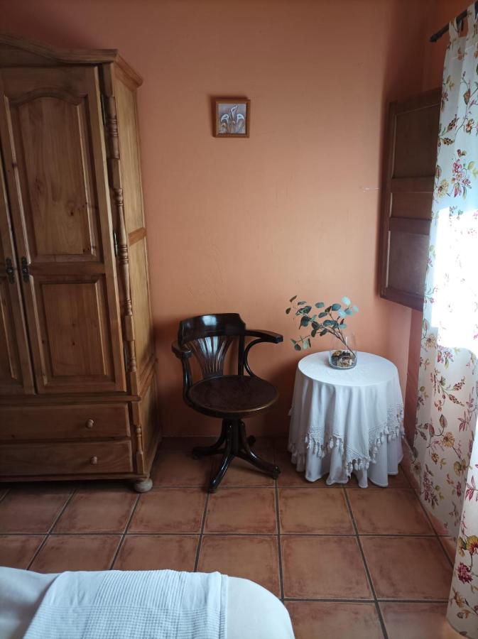 La Casa De Los Gatos Condemios de Abajo ภายนอก รูปภาพ